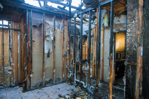 Professional Fire Damage Removal technician working in Windham, OH